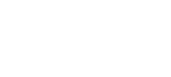 Playtech logo